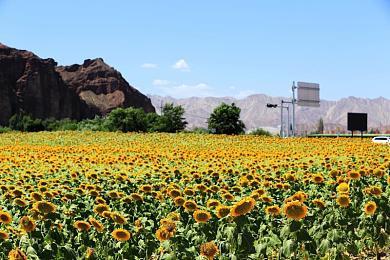 万人参与网络测试的任天堂神秘多人建造游戏曝光